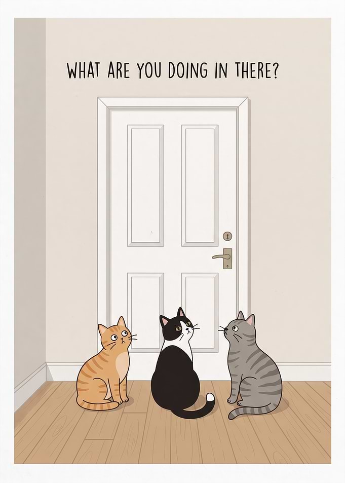 Three Curious Cats Waiting at Door
