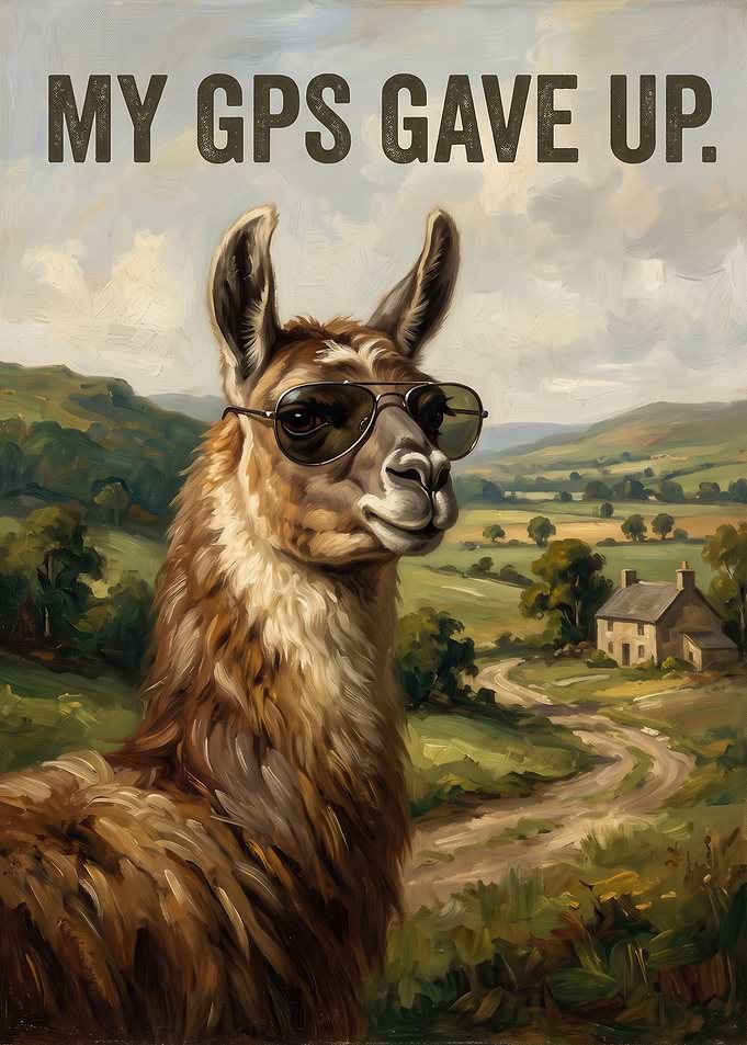 Funny Llama Wearing Sunglasses