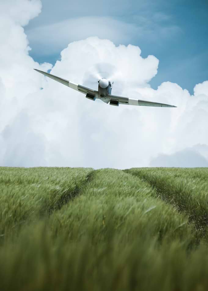 Spitfire Flying Over Green Field