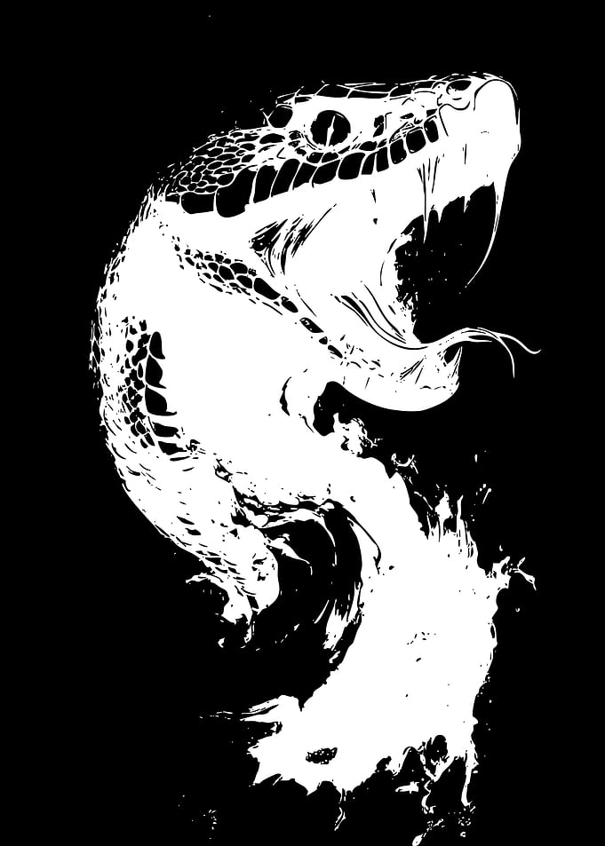 Aggressive Striking Snake Silhouette
