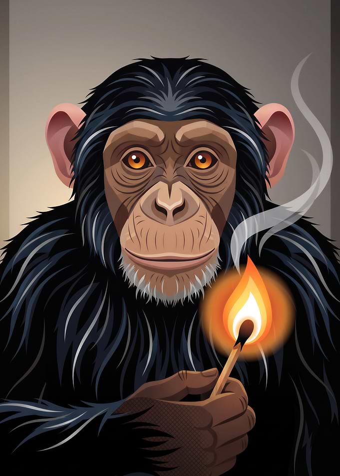 Chimpanzee Holding a Lit Match