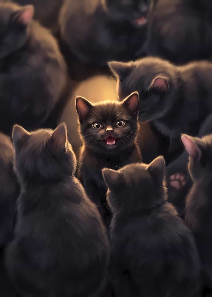 Group of adorable black kittens
