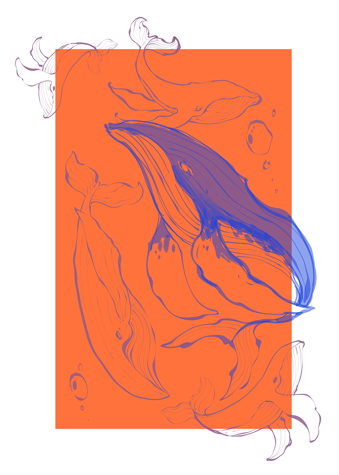 Stylized Humpback Whales Illustration
