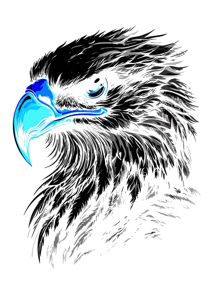 Stylized Eagle Head Illustration