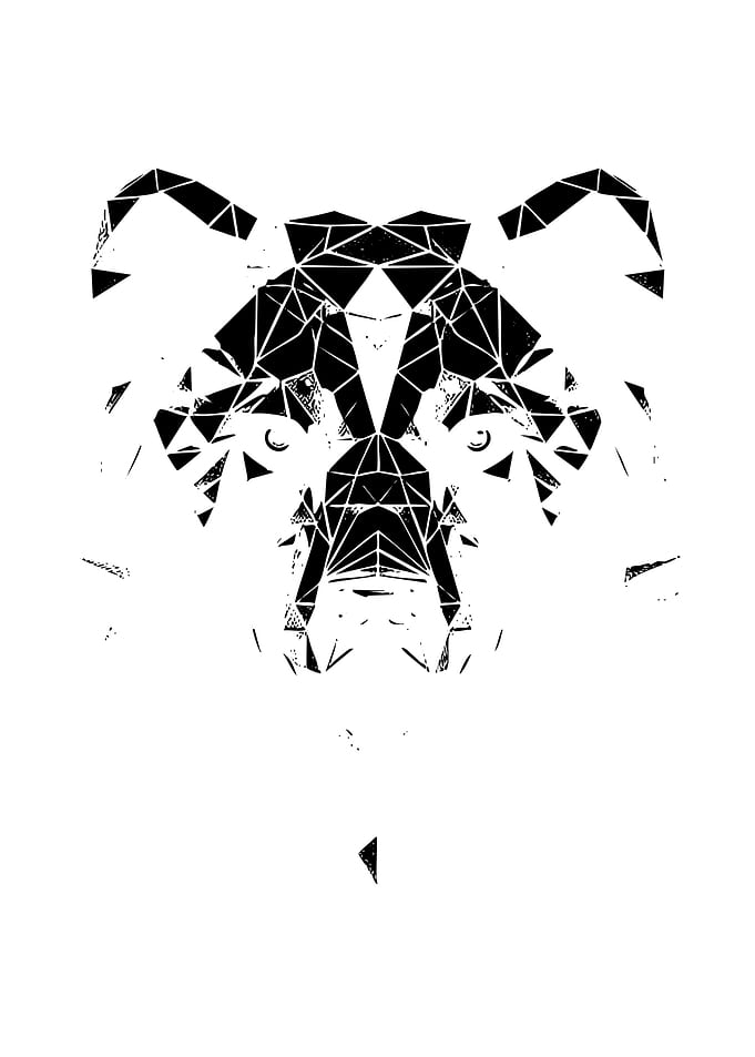 Geometric Low Poly Bear Portrait