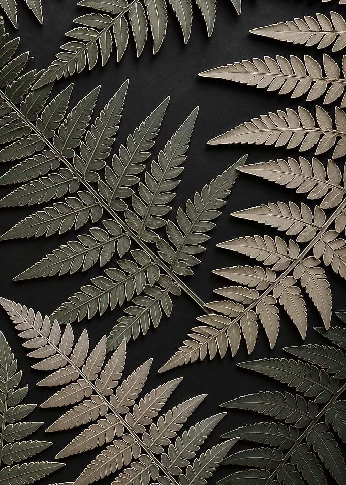 Fern Frond Lattice Embossed Graphic