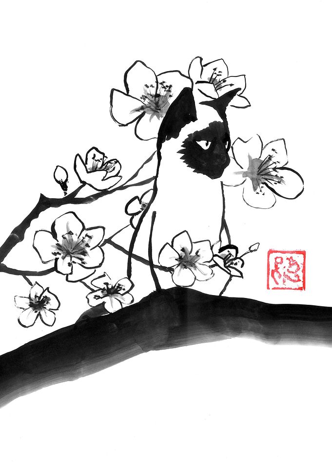 Siamese Cat in Cherry Blossoms