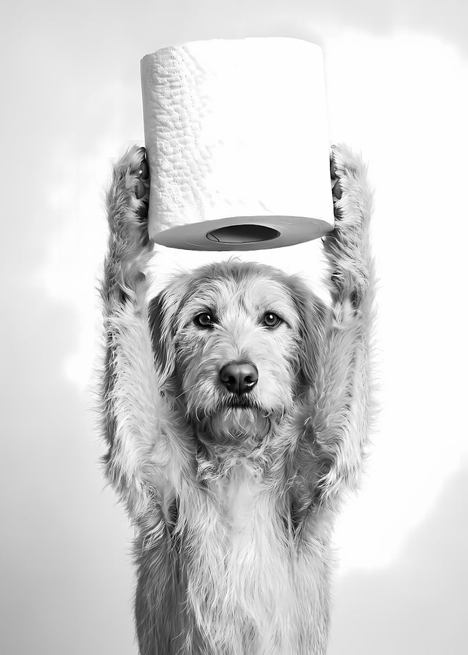 Dog Holding Toilet Paper Roll
