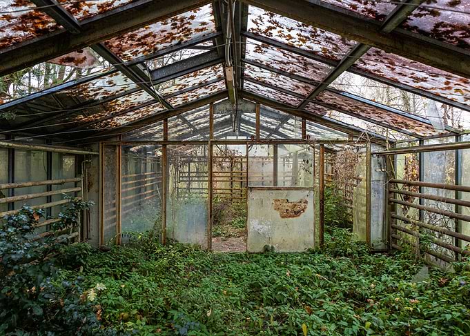 Abandoned Overgrown Greenhouse Interior