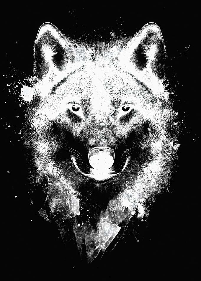 Abstract Black and White Wolf Portrait