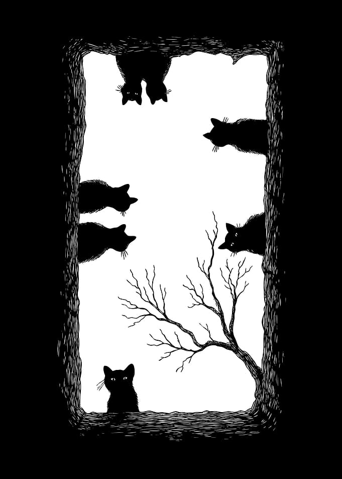 Death cats