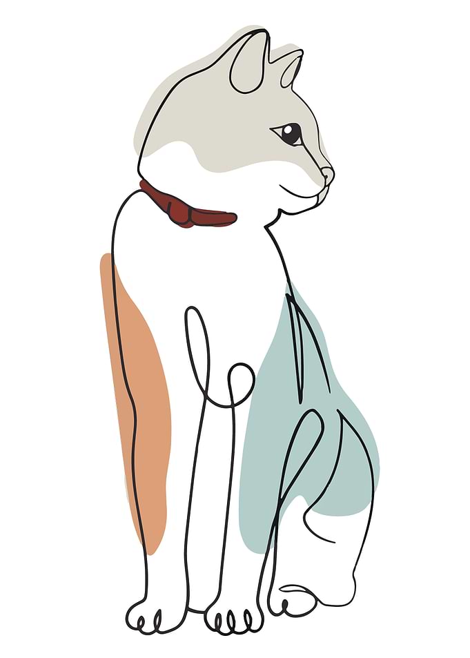Minimalist Line Art Cat Illustration
