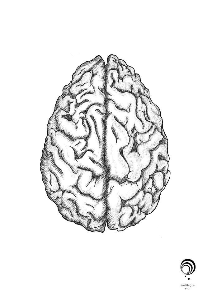 The Mind