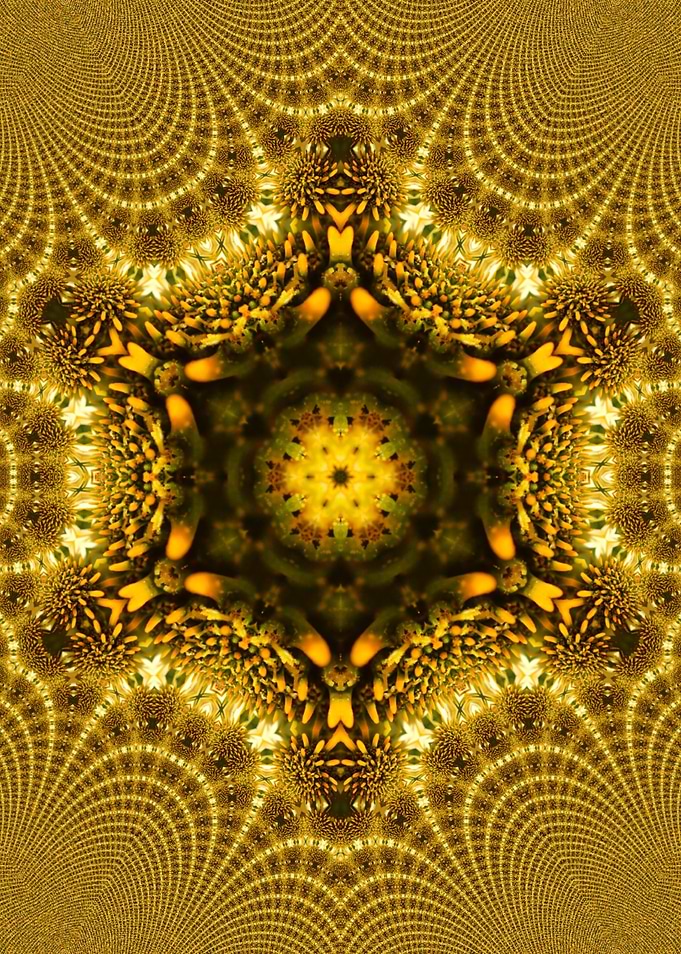 Titre Solar Bloom — Fractal Mandala