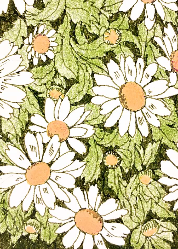 Hand-Drawn Daisy Flower Pattern
