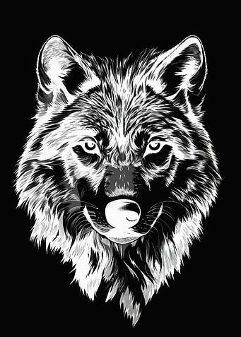 Black and White Wolf Portrait