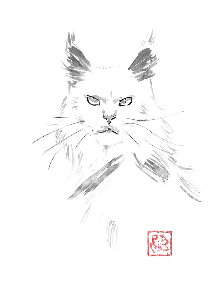 Minimalist Ink Wash Maine Coon Portrait