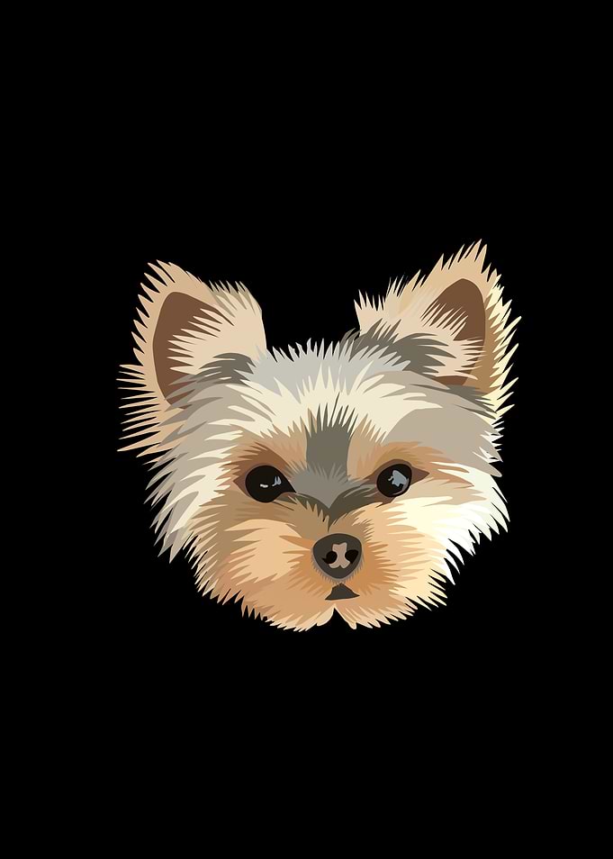 Yorkshire Terrier Portrait Illustration