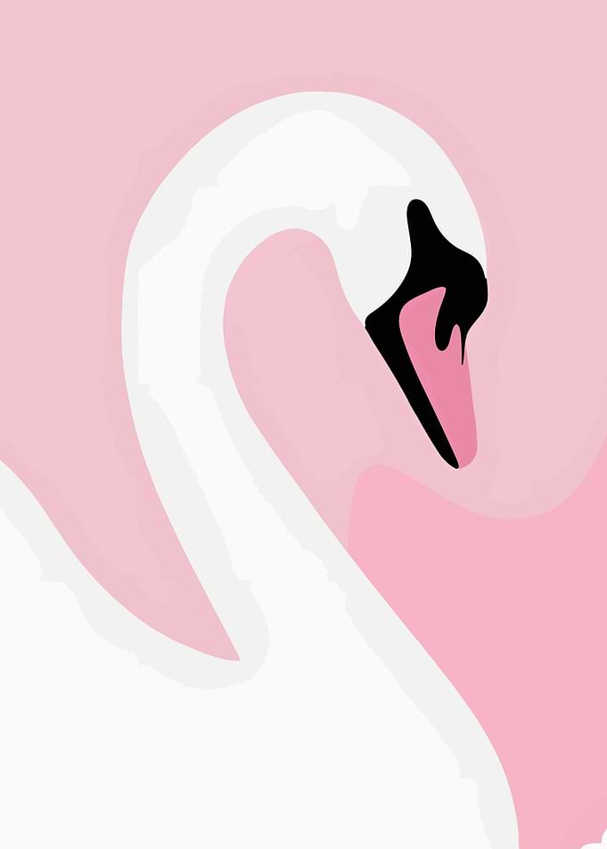 Minimalist Swan Illustration