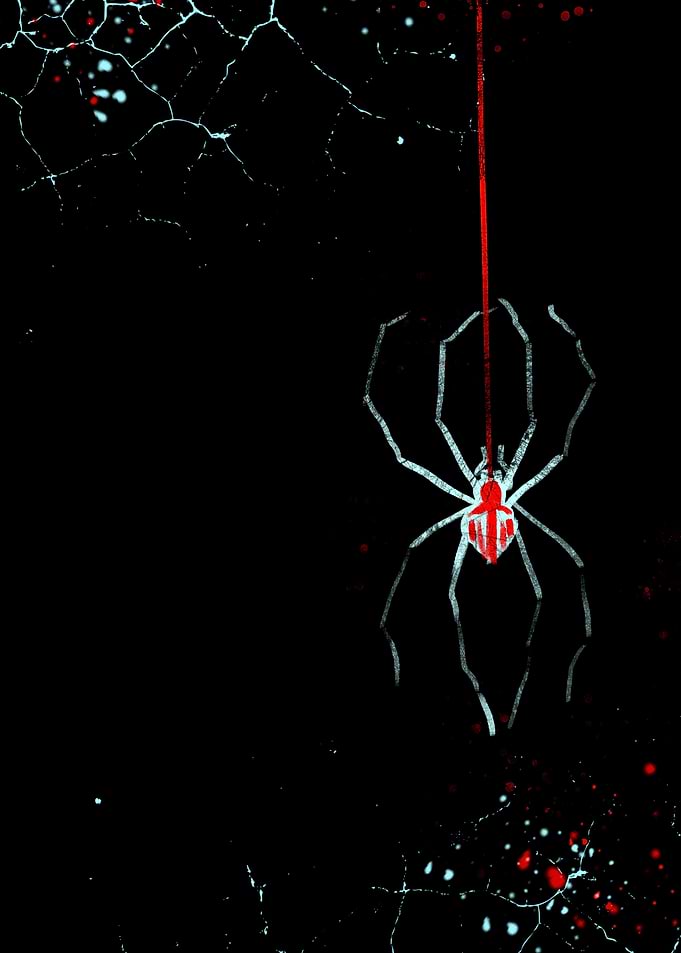 Minimalist Spider with Red Accents