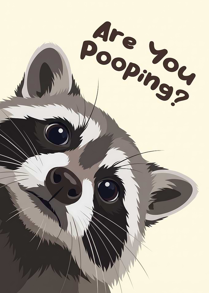 Funny Raccoon Are You Pooping Poster