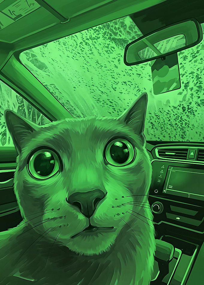 Cat in a Carwash Meme