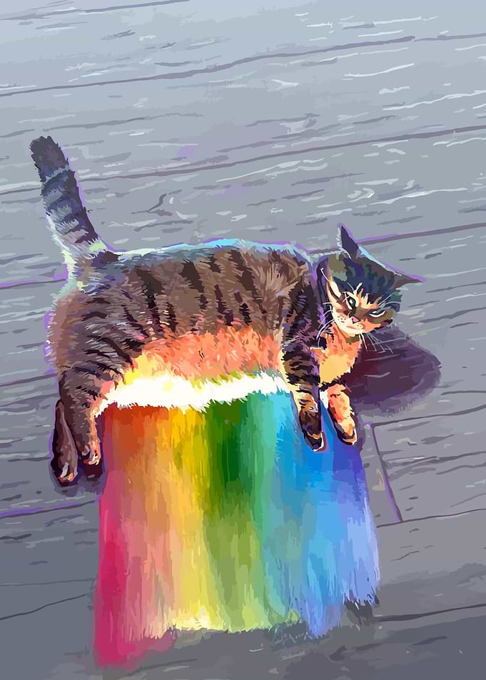 Tabby Cat Resting on Rainbow