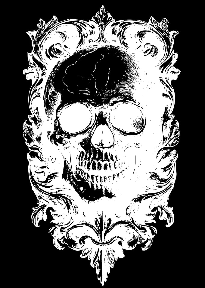Gothic Skull in Ornate Frame