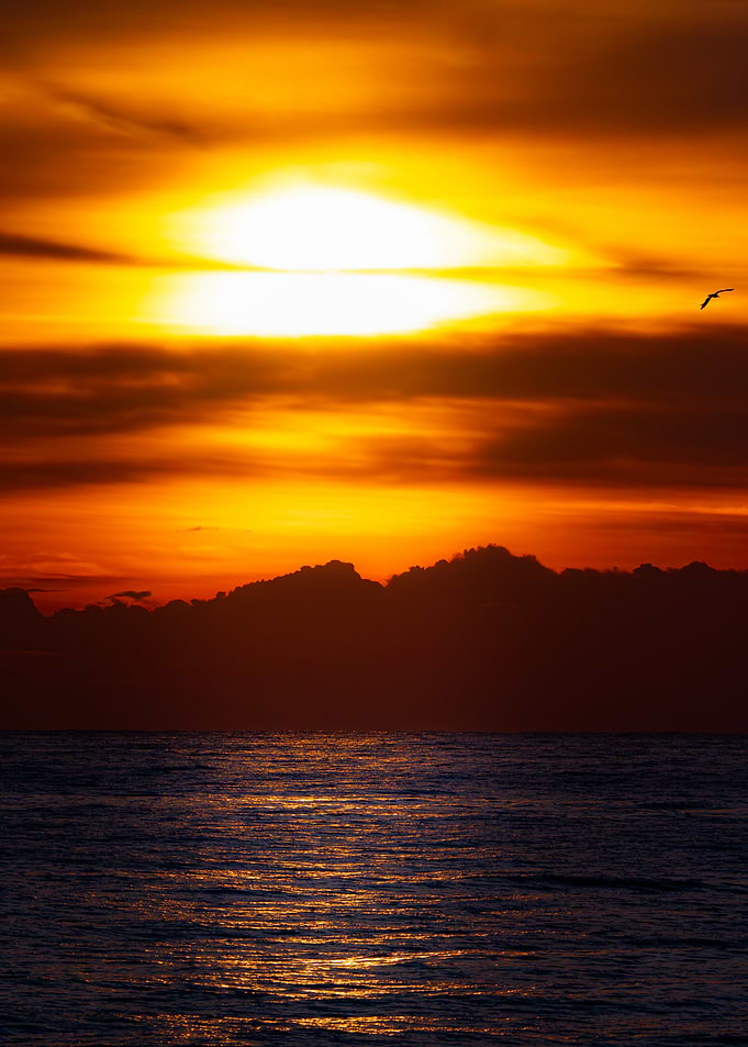 Golden Sunset