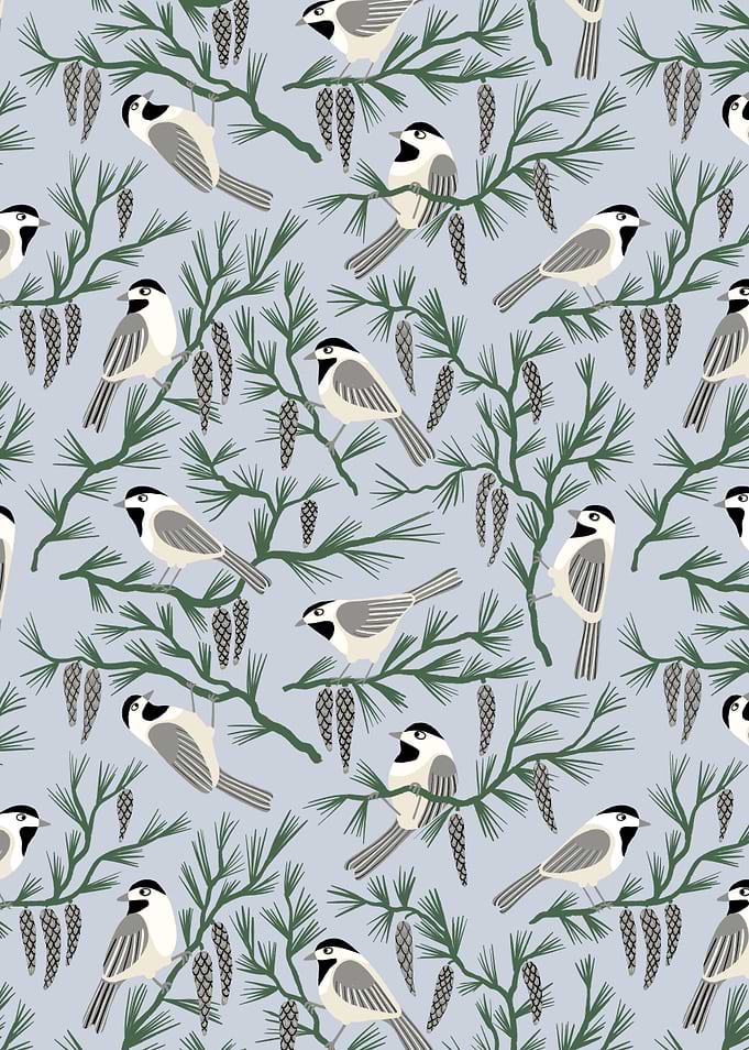 Chickadee Birds and Pine Tree Branches