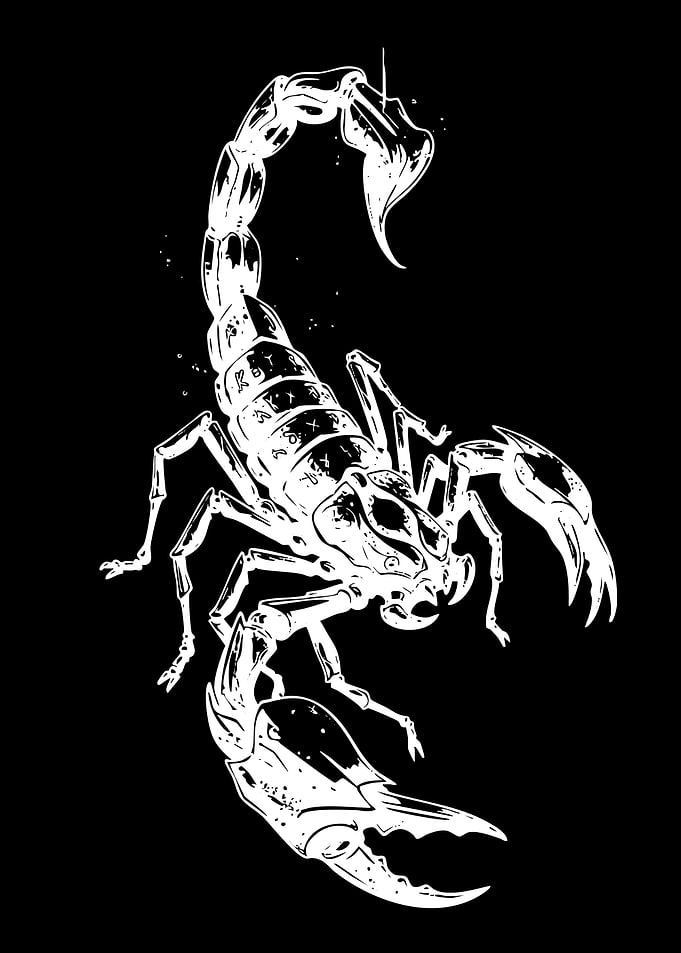 Stylized White Scorpion Illustration