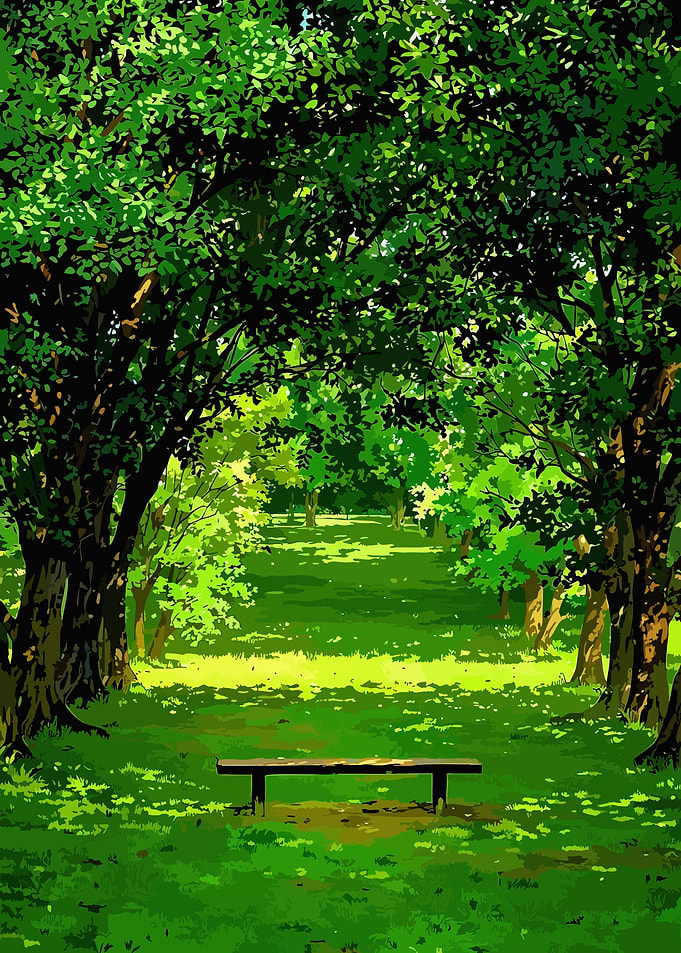 Empty Park Bench in Lush Forest