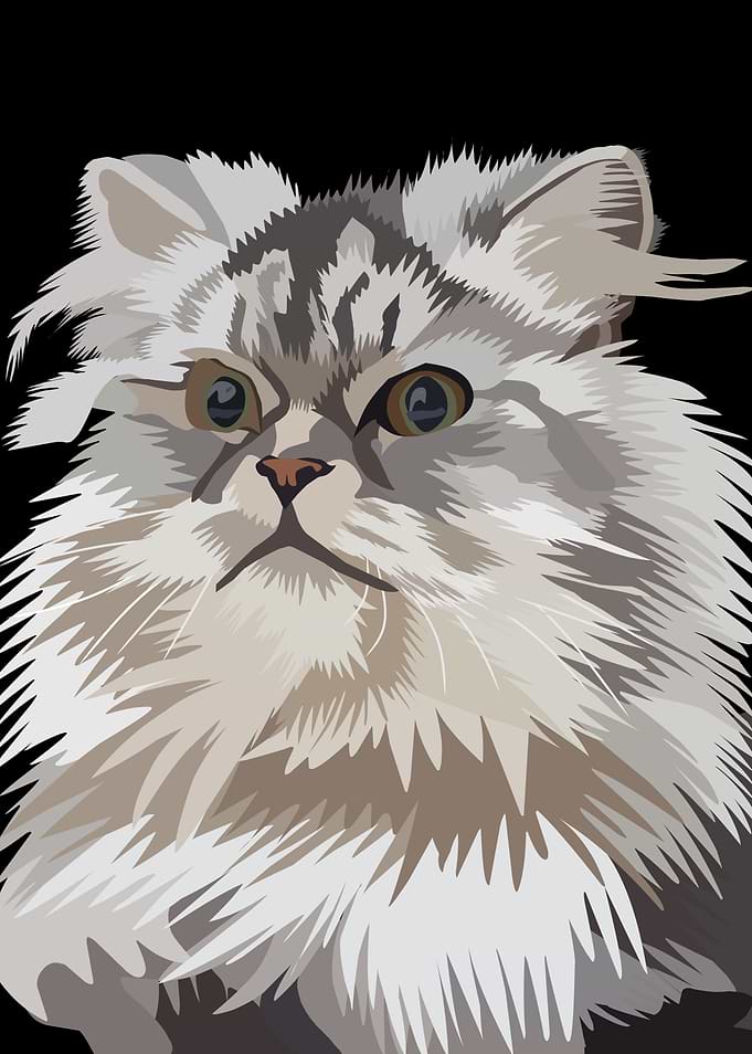 Stylized Vector Illustration of Fluffy Cat