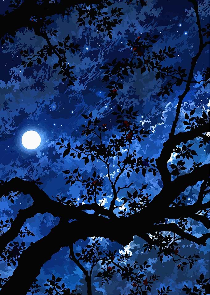 Moonlit Tree Silhouette Night Sky