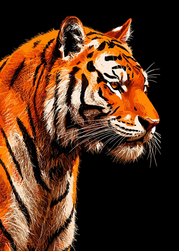 Big Tiger Portrait Illustration