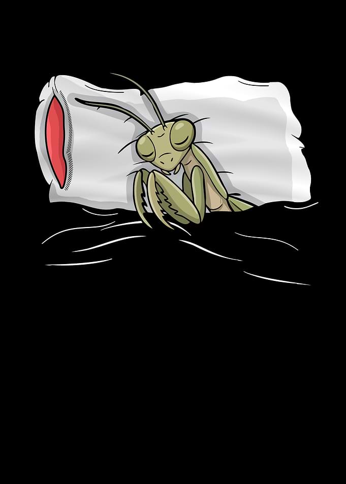 Sleeping Praying Mantis Cartoon