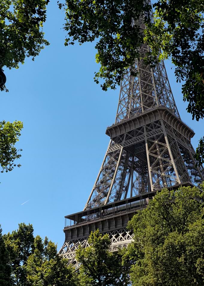 Eiffel Tower Framed by Green Trees