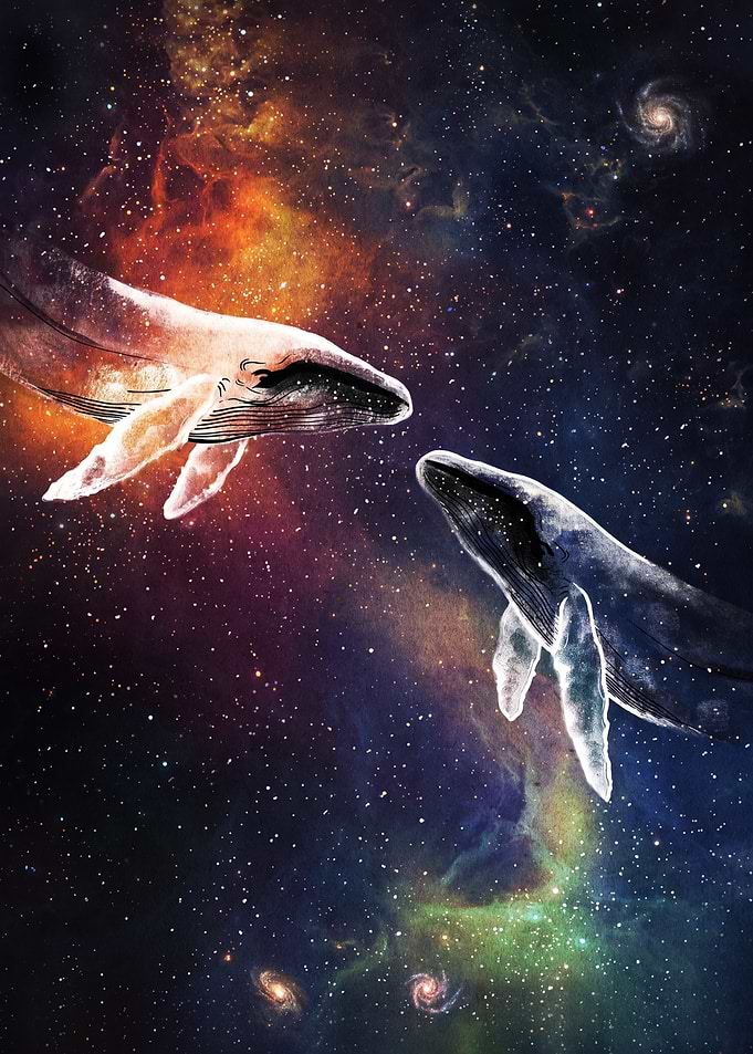 Two Whales Swimming in Deep Space