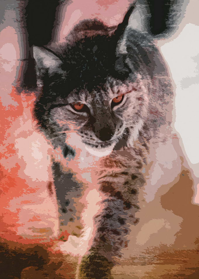 Stylized Lynx Portrait