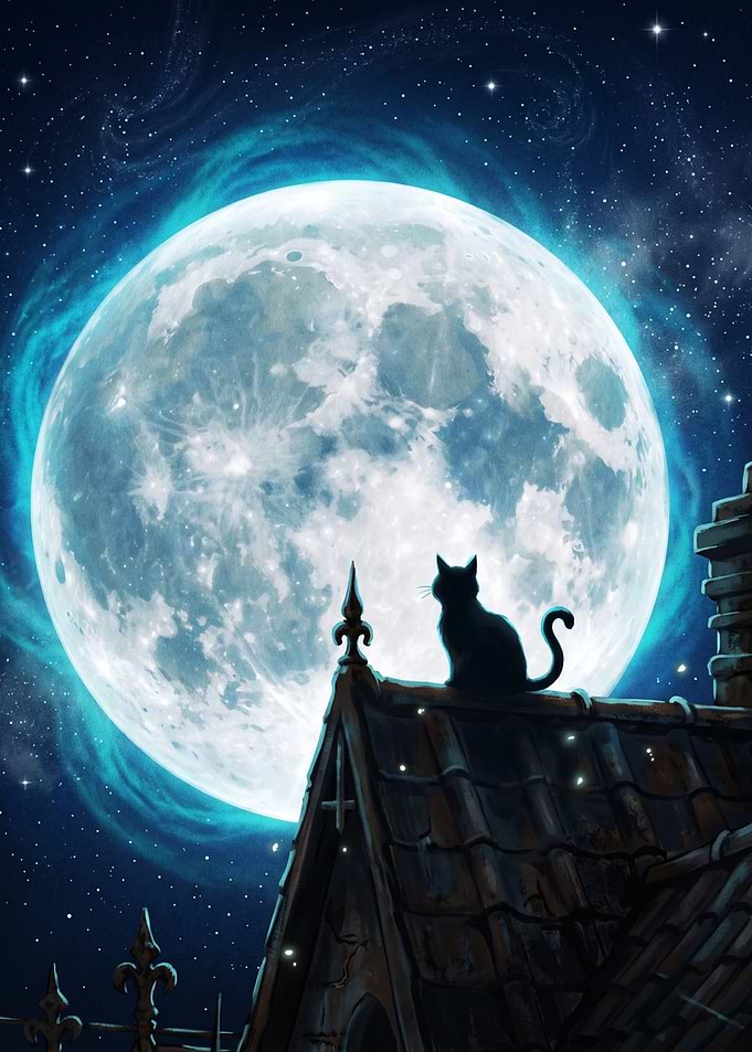 Black Cat Under Full Moon