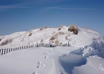 Snow Covered Dunes and Fence