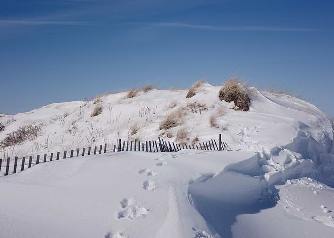 Snow Covered Dunes and Fence