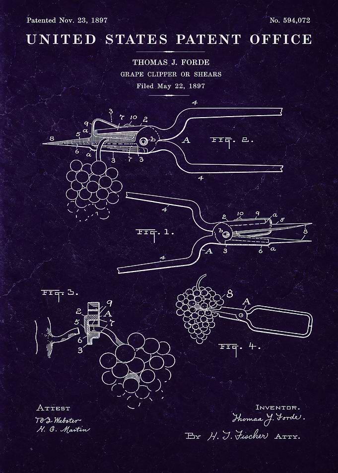 1897 Grape Clipper Patent Blueprint