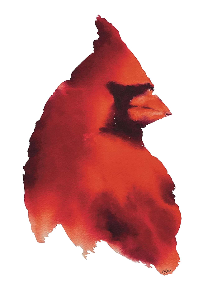 Watercolor Northern Cardinal Bird Portrait