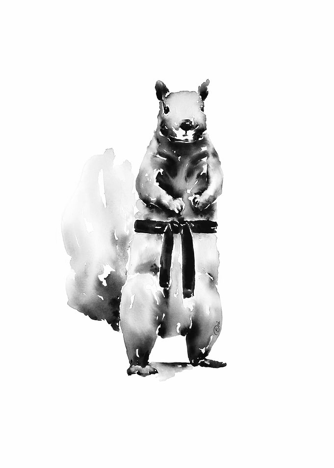 Black and White Karate Squirrel