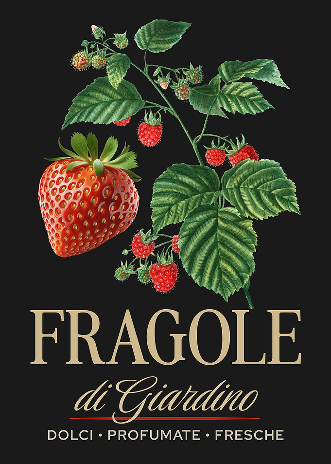 Vintage Style Garden Strawberry Poster