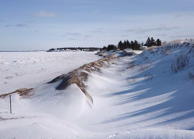 Snowy Beach Landscape in Winter