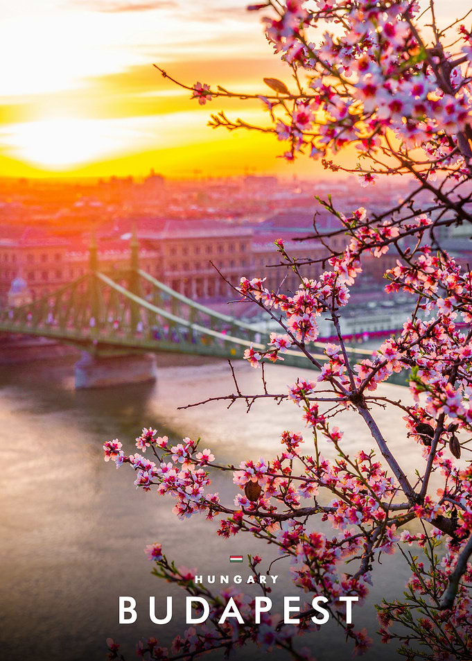 Budapest Liberty Bridge Spring Sunset