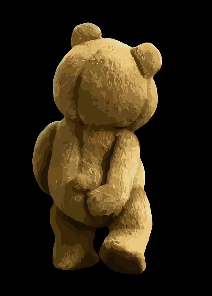 Ted the Teddy Bear