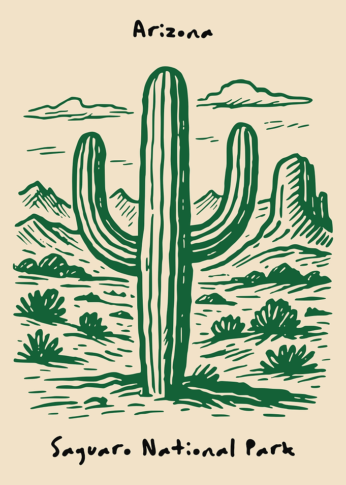 Arizona Saguaro National Park Poster